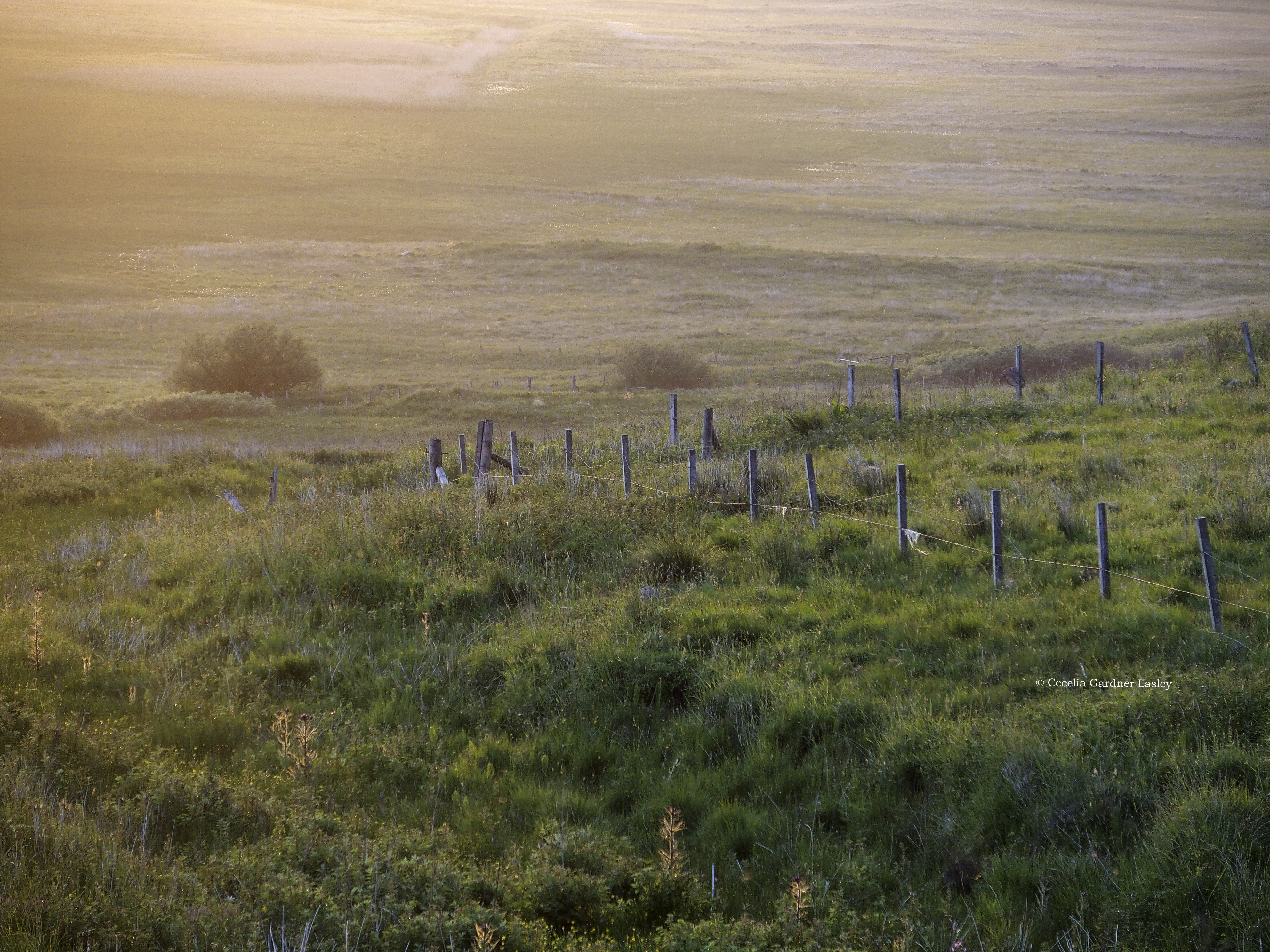A sunset lit field with a wood and wire fence. Copyright Cecelia G. Lasley